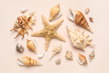 Many different seashells and starfish on white background