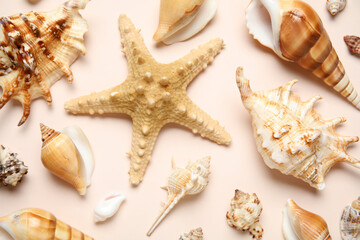 Many different seashells and starfish on white background