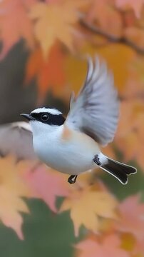 Elegant penduline tit bird mid-flight with delicate wings outstretched against colorful autumn leaves backdrop in natural environment
