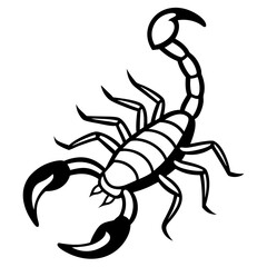scorpion vector illustration