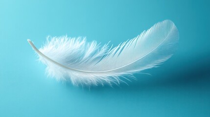 Obraz premium A single white feather lies softly against a light blue background.