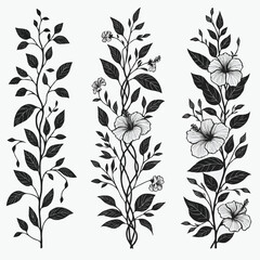 Border Elements for plants Design. Hand drawn Monochrome Vine Flowers Illustration. Vines Blossom Flower Silhouette Decoration. Elegant Hibiscus stems Floral Black and White Botanical drawing. 
