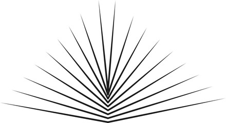 Lines extending outward in a radiating pattern from a single origin point.