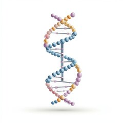 A stylized illustration of a DNA double helix, featuring colorful spheres representing nucleotides, symbolizing genetics and molecular biology.