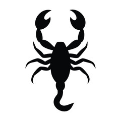 Black Scorpion Silhouette on White Background, Isolated Arachnid Illustration, Venomous Tail Curve, Strong Pincers, Dangerous Wildlife Symbol, Iconic Desert. Black Scorpion Silhouette