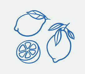 Hand-drawn lemon Illustrations. Line art, ink, minimalist style. Vector illustration. Summer collection.