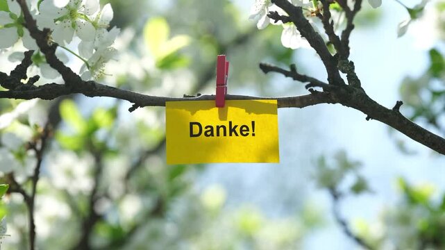 A yellow paper note with the word Danke! (Thank you in German) on it attached to a blossoming plum tree branch with a clothes pin.