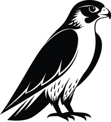 Peregrine falcon silhouette, flying falcon icon, peregrine falcon on white