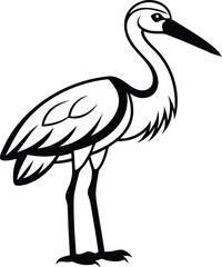 Stork silhouette,  standing bird, white background, black vector icon, wildlife illustration