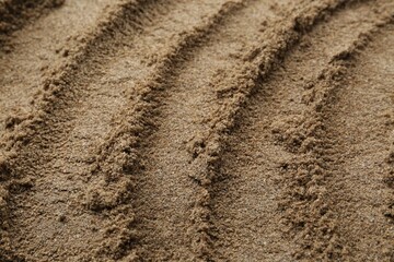 Superfood. Chia seeds powder as background, closeup