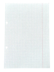 Graph Paper with Binder Holes and Red Line on Transparent Background.