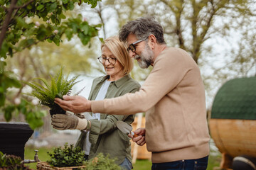 Happy mature senior couple gardening together in a green space