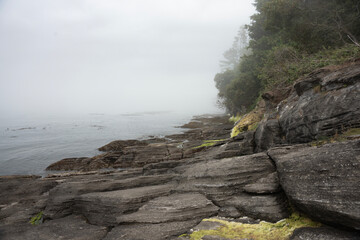 Foggy Morning at Salt Creek Recreation Area