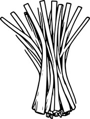 A Simple Line Drawing Of A Bunch Of Lemongrass Stalks