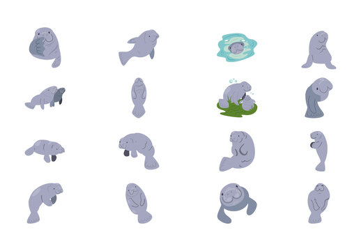 Gray Cartoon Sea Cow Character Illustration Set