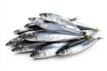 Obraz premium Pile of Raw Sardines with Silvery Scales Isolated on White Background 