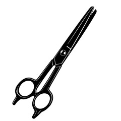 Professional Hair Cutting Scissors Sharp, Precise, Durable Design