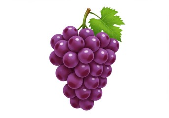 Fototapeta premium Fresh purple grapes bunch healthy fruit isolated on white image