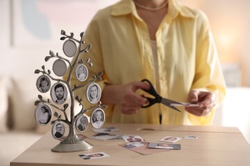 Woman cutting out pictures of her relatives at table indoors, focus on family tree photo frame
