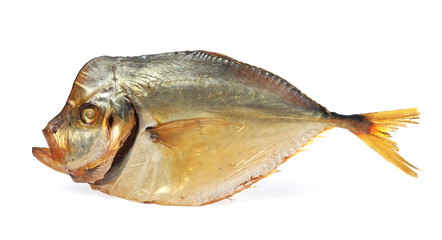 One dried moonfish isolated on white. Salty snack