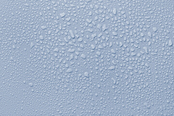 Many water drops on light blue background