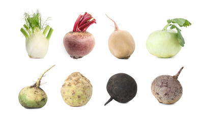 Different root vegetables isolated on white, set