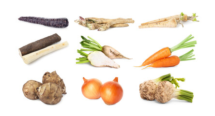 Different root vegetables isolated on white, set