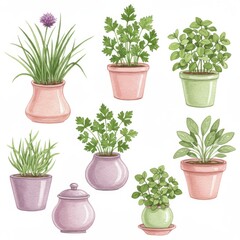 Fototapeta premium Collection of Potted Herbs with Pastel Pots