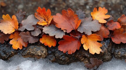 Autumn leaves in vibrant hues of orange and brown rest on a damp, snow-covered surface