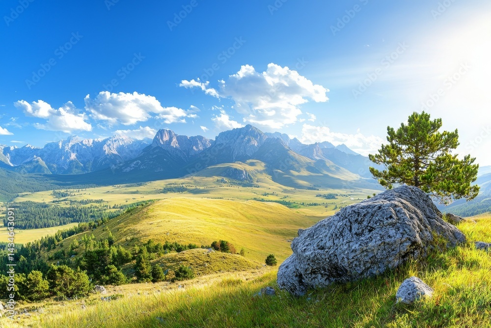 Aufkleber mountain range is visible in the background with a lone tree in the foreground