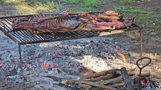 Lamb carcass and sausages grilling over wood fire in open air barbecue. 4K