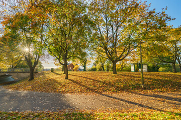 Naklejka premium Grace way in Stevenage captured with autumn leaves. Stevenage, England