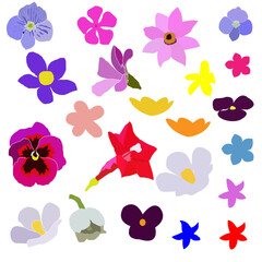 Set of Small Colorful Flowers in Various Shapes – Decorative Floral Elements for Design