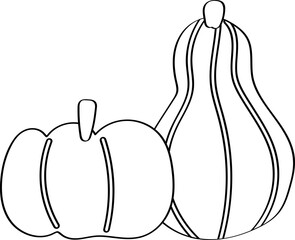 Lined Pumpkin Vegetable Illustration