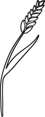 Lined Wheat Grain Hand Drawn