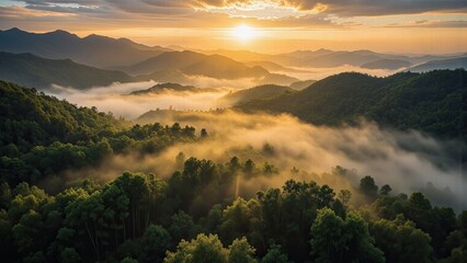 雨林山中的日出