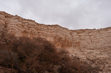 A rocky hillside with trees and a cloudy sky