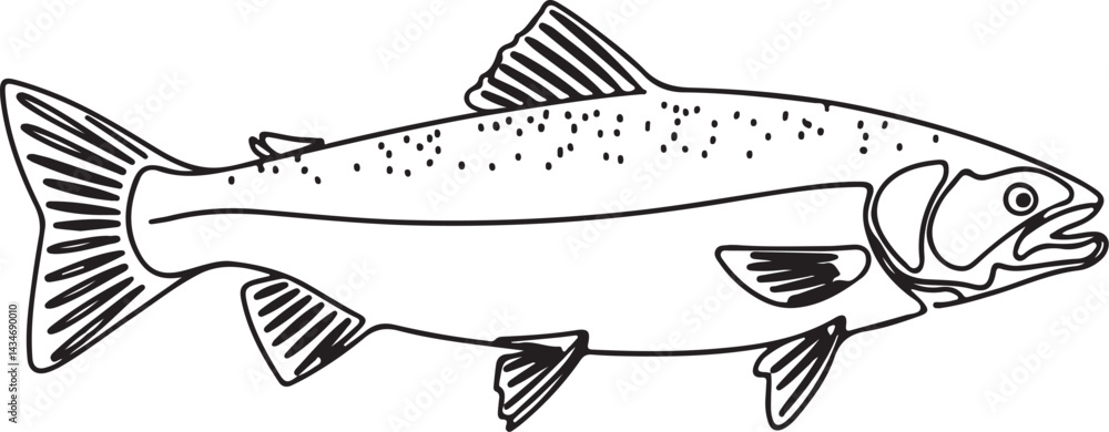 Poster continuous black line sketch of a salmon fish with a sleek body drawn in a minimal style and isolate