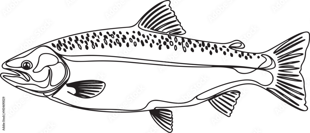 Poster black continuous line drawing of a salmon fish depicted in minimal sketch style isolated on clean wh