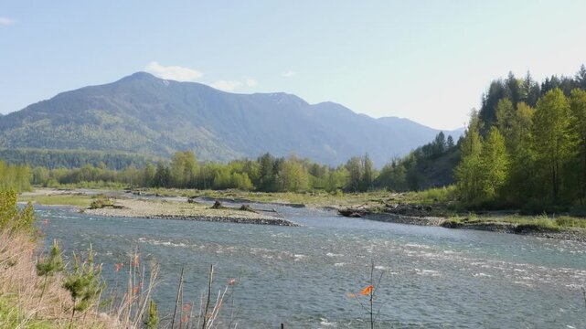 Chilliwack River as seen from the Vedder Rotary Trail North during a spring season in Chilliwack, Fraser Valley, British Columbia, Canada