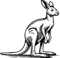 black and white engrave isolated kangaroo vector illustration