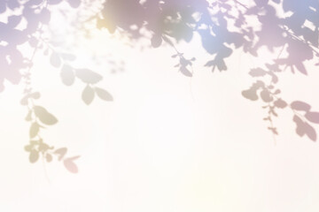 파스텔 톤의 다채로운 식물 그림자