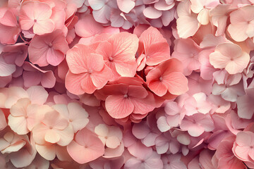 Obraz premium a seamless wall of pink flowers, soft pastel roses and hydrangeas in various shades of blush