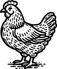 Chicken, hen, sketch. Vintage retro print, chicken, hen sketch ink pencil style drawing, engrave old school. Sketch artwork silhouette chicken, hen isolated on white background. Vector Illustration