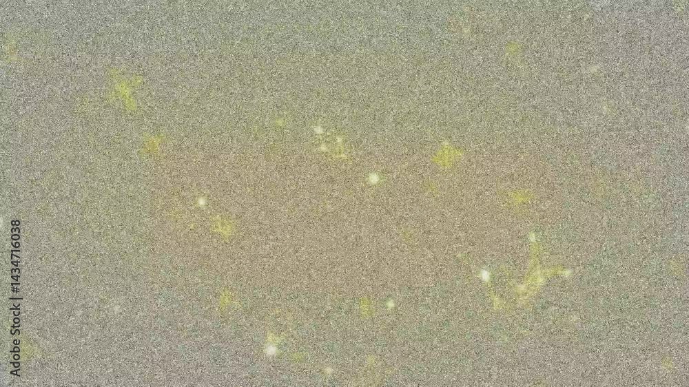 Poster grainy digital noise pattern filling canvas showing colored speckles with glowing yellow splotches