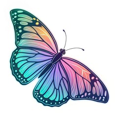 butterfly on white background