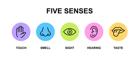Illustration of the Five Senses