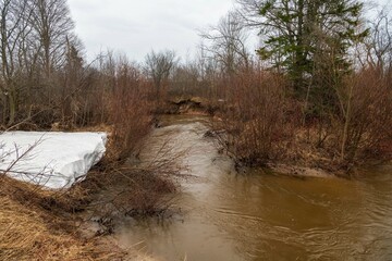 river in spring