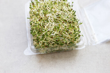 Fresh green sprouted alfalfa seeds
