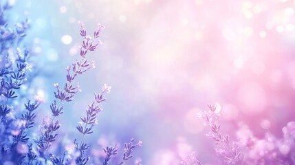 Obraz premium Lavender Dream